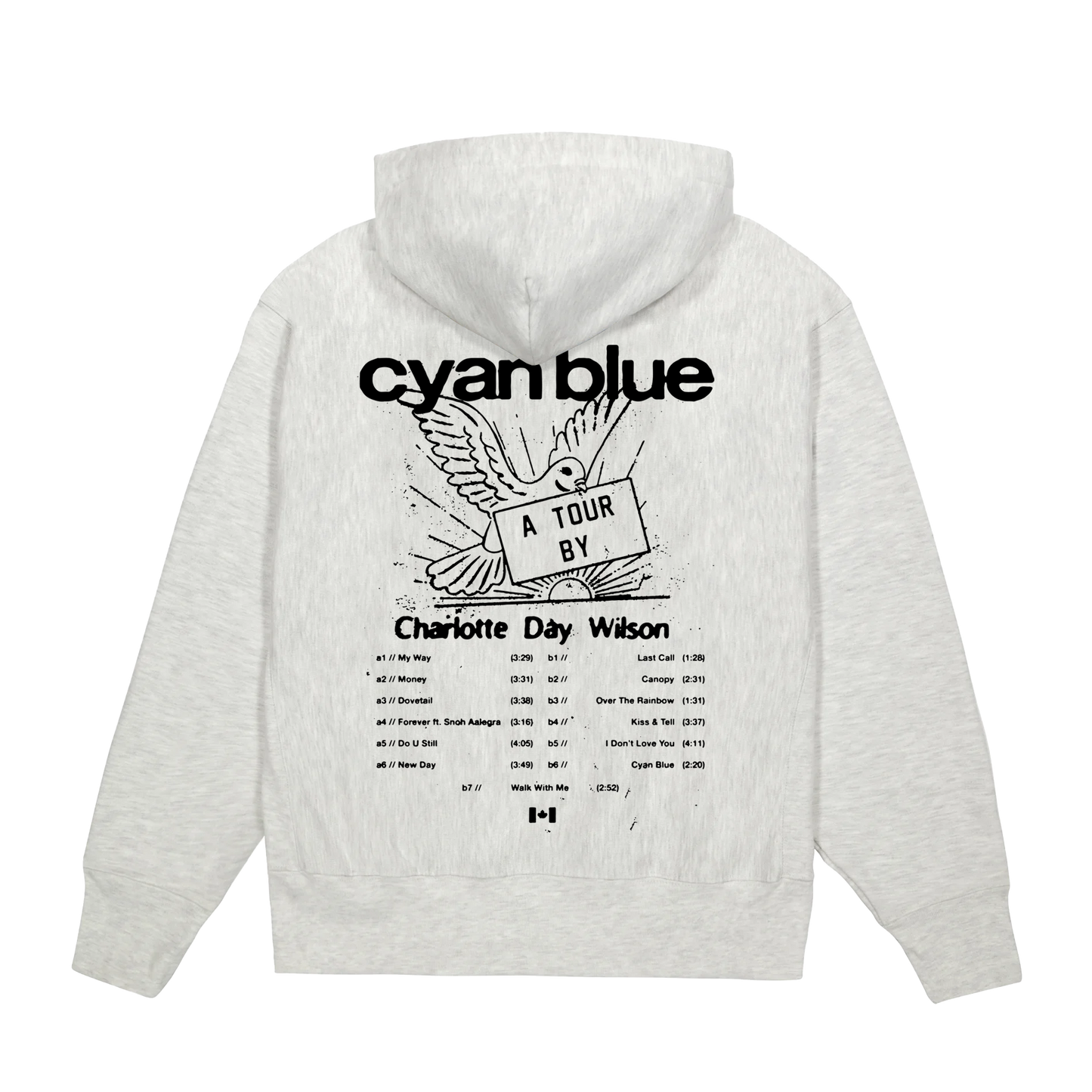 Cyan Blue Champion Reverse Weave Hoodie